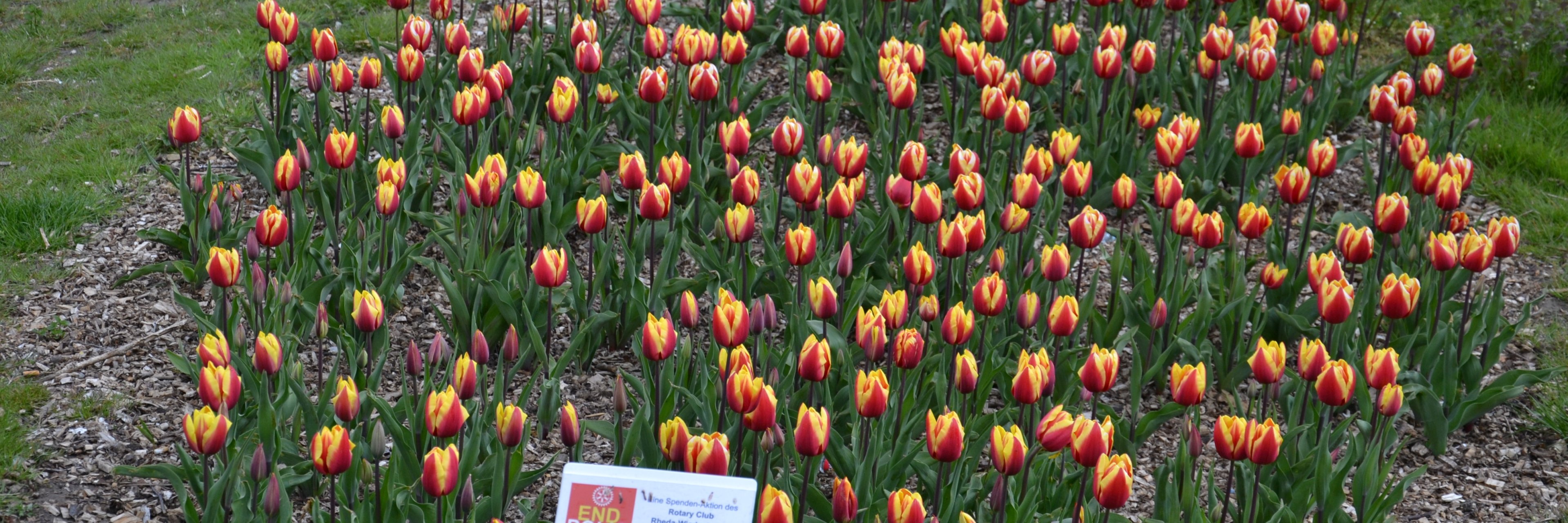 Aktuelles in Rheda-Wiedenbrück