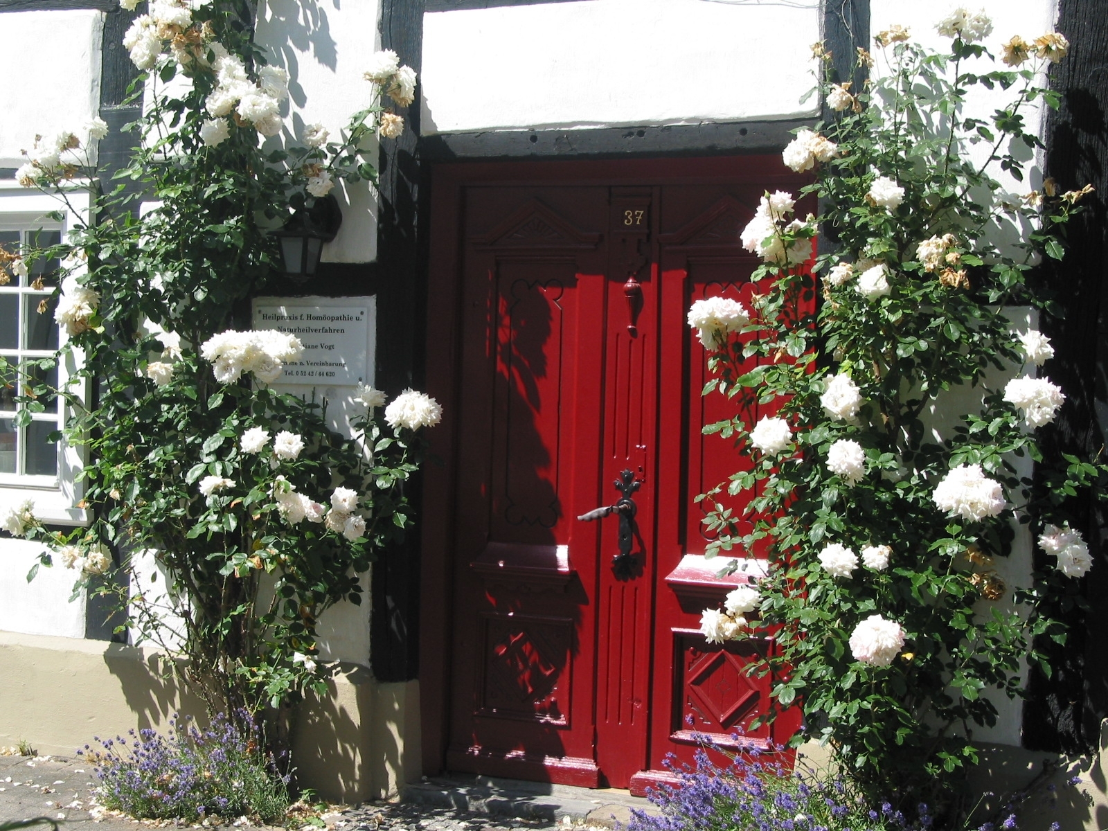 Rote Tür Roter Tür umrahmt von weißen Rosen